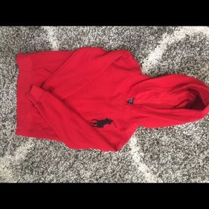 Boys Ralph Lauren Pull Over With Hood